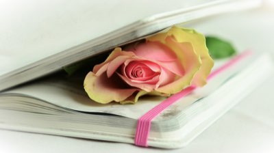 澳門購物巡禮：文化與奢華完美結合的路線規劃指南完整指南