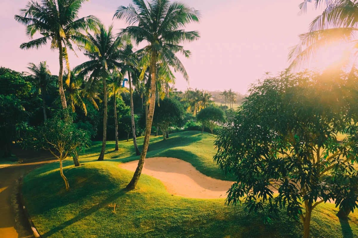 Resort show course pathway with natural grass and wooden markers