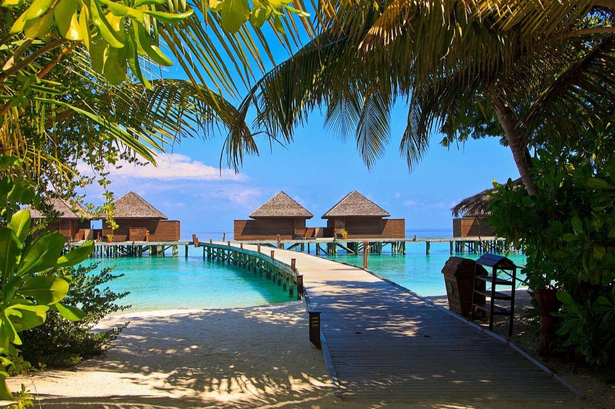 Luxury resort entrance with tropical garden