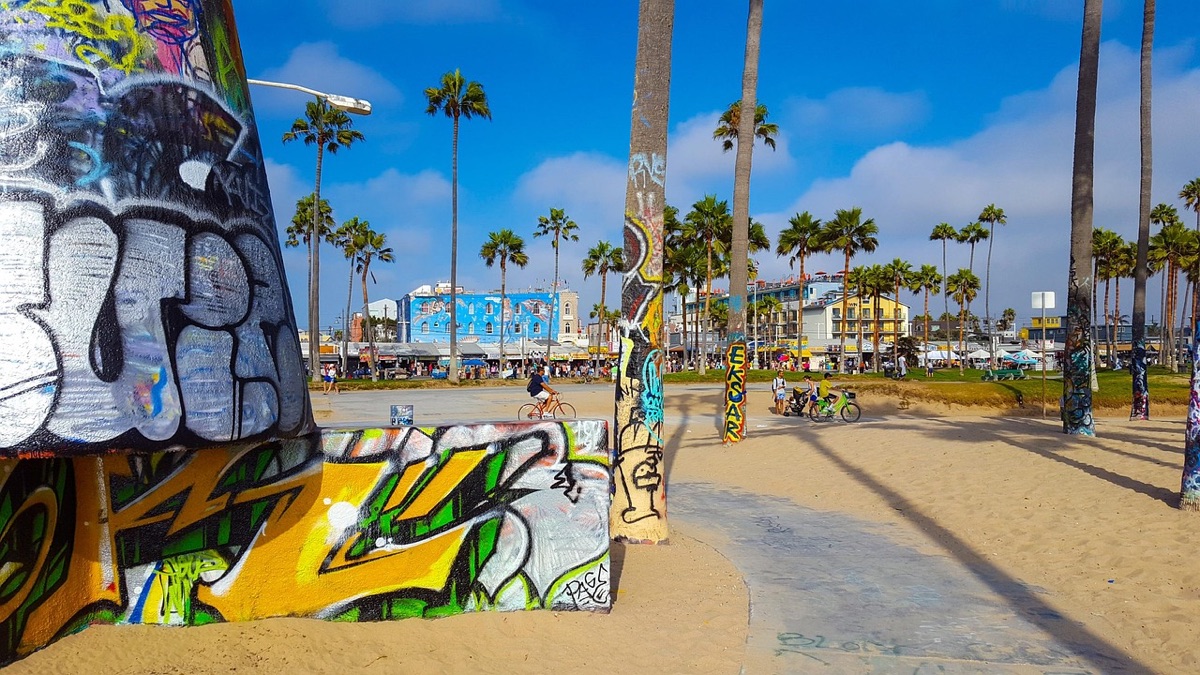 beach path with palm trees