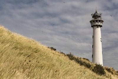Espectáculos Cotai: El itinerario perfecto para tu visita