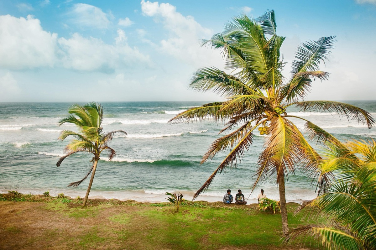 sendero de playa con palmas