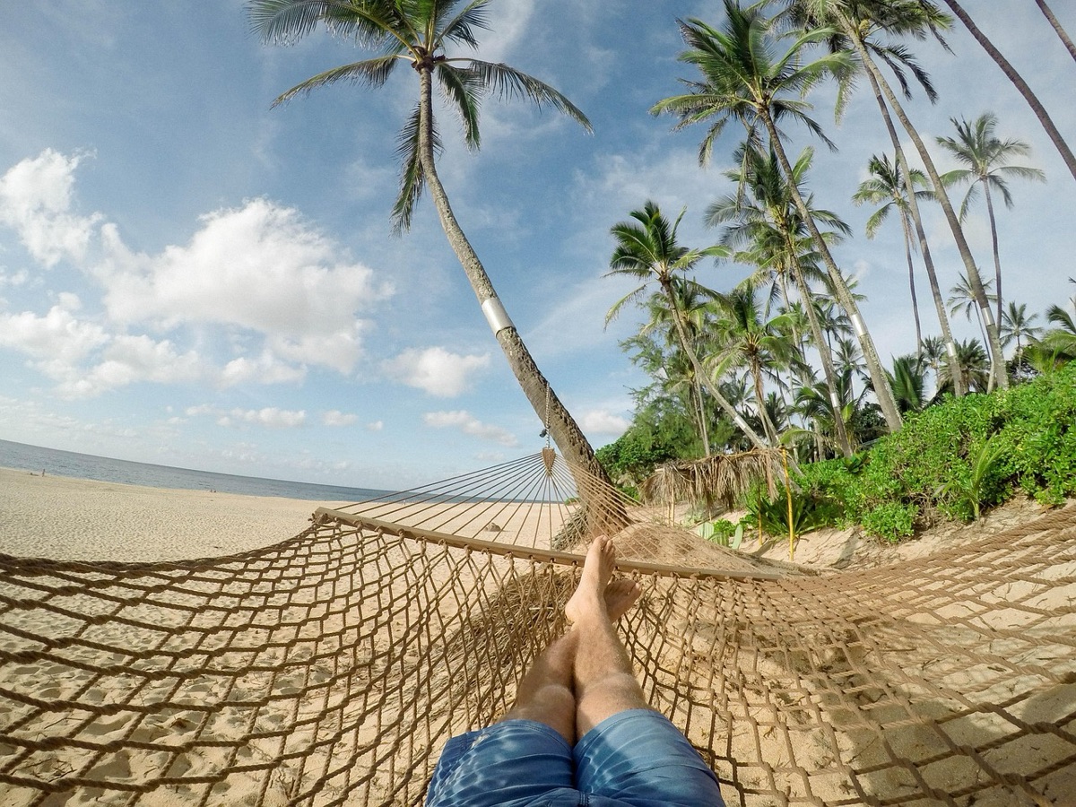 Piste de plage avec des palmiers