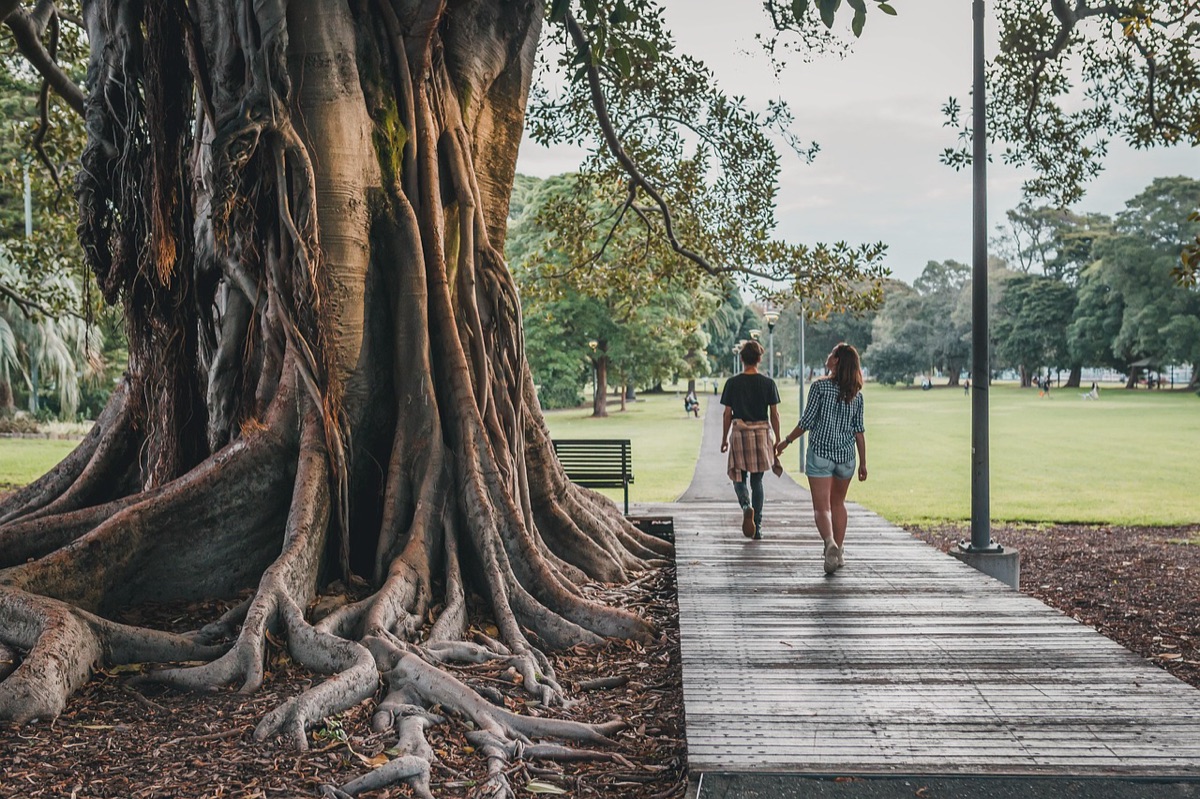 Walking tour pathway