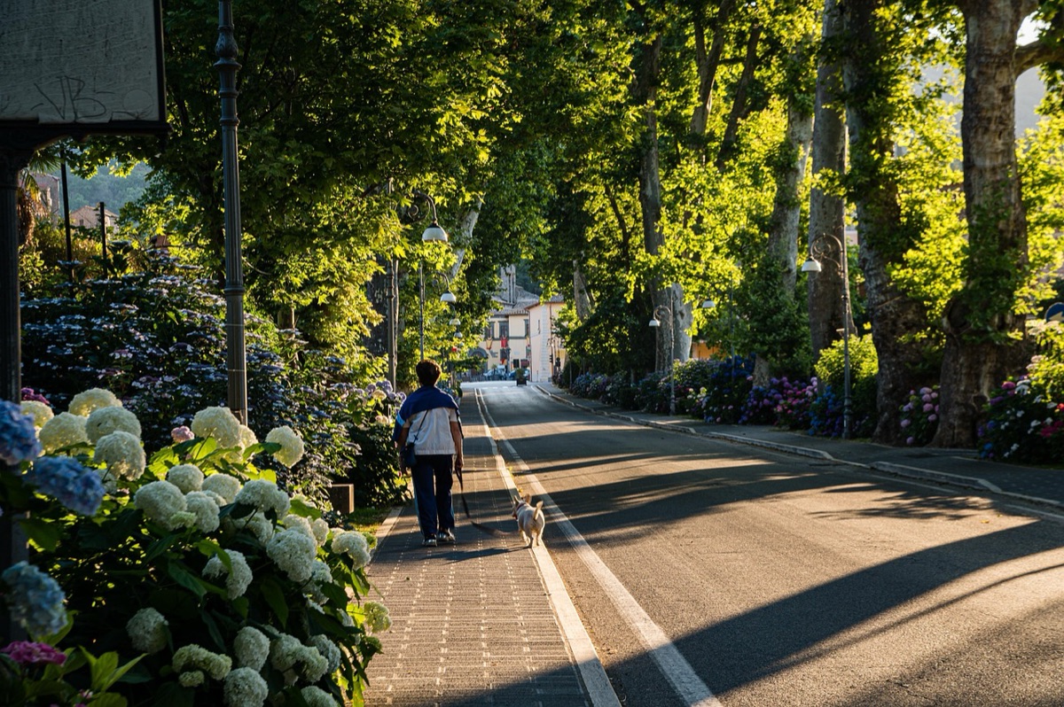 Historischer pedestrian path in Macau mit historischen Gebäuden